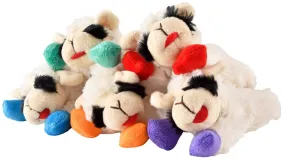 6" Lamb Chop Dog Toy w/Colorful Hooves, (Assorted) each