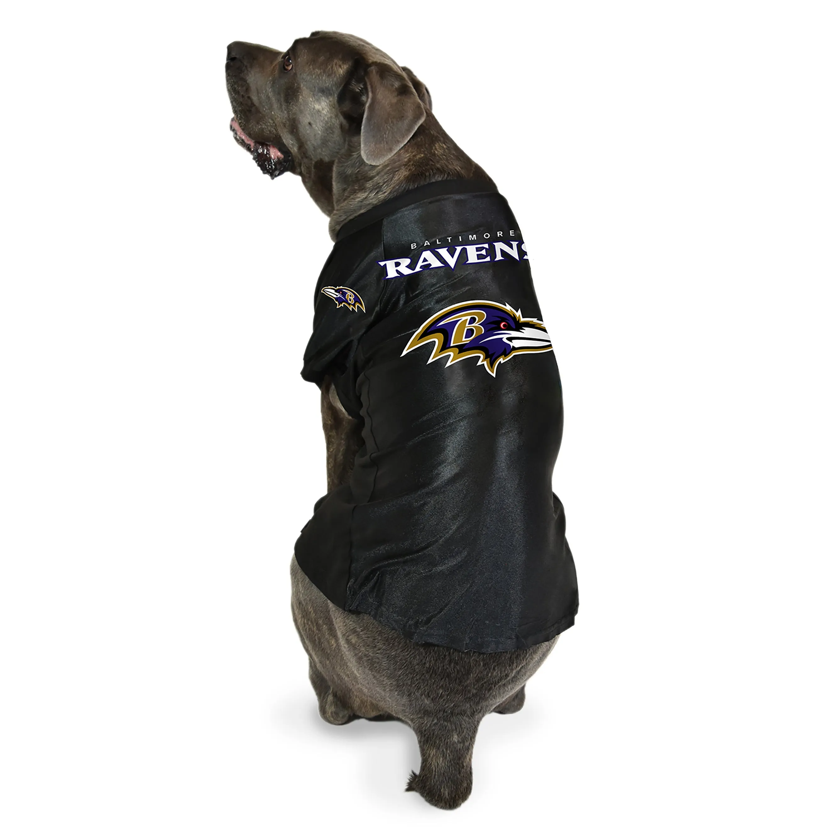 Baltimore Ravens Big Pet Stretch Jersey