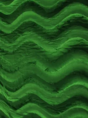 Kelly Green Velboa Solid Wavy Short Pile Fabric / Sold By The Yard